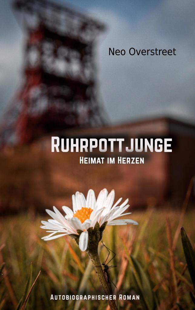 Produktbild: Ruhrpottjunge | Neo Overstreet