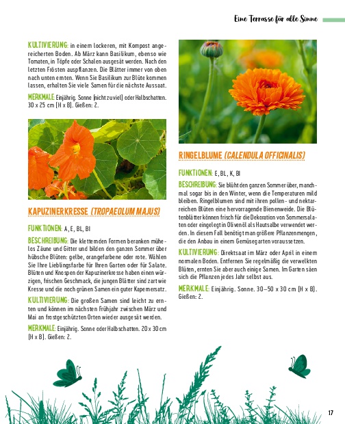 Weitere Ansicht: Die besten Pflanzen für die Permakultur: Gemüse, Stauden, Sträucher, Bäume | Annie Lagueyrie