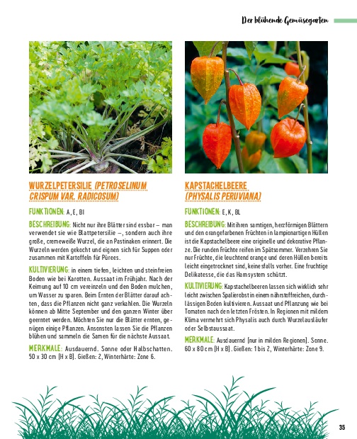 Weitere Ansicht: Die besten Pflanzen für die Permakultur: Gemüse, Stauden, Sträucher, Bäume | Annie Lagueyrie