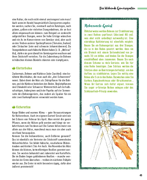 Weitere Ansicht: Die besten Pflanzen für die Permakultur: Gemüse, Stauden, Sträucher, Bäume | Annie Lagueyrie