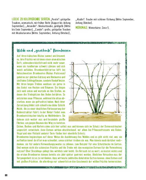 Weitere Ansicht: Die besten Pflanzen für die Permakultur: Gemüse, Stauden, Sträucher, Bäume | Annie Lagueyrie