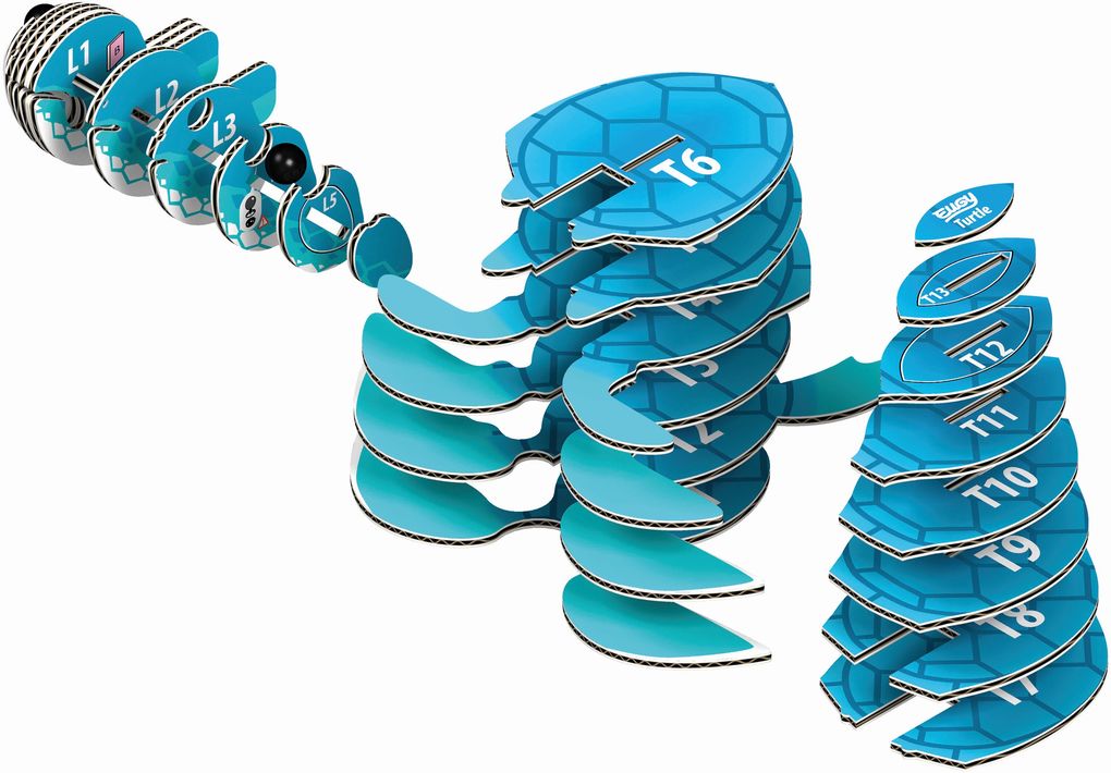 Weitere Ansicht: Eugy - 3D Bastelset Schildkröte