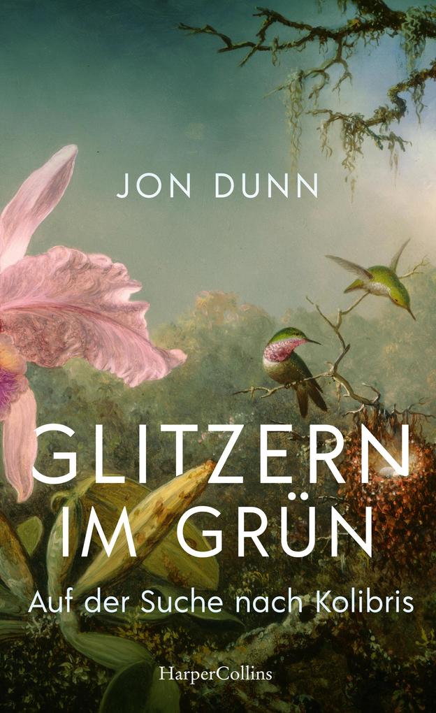 Produktbild: Glitzern im Grün - Auf der Suche nach Kolibris | Jon Dunn
