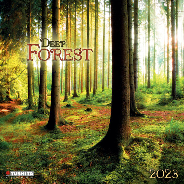 Produktbild: Deep Forest 2023