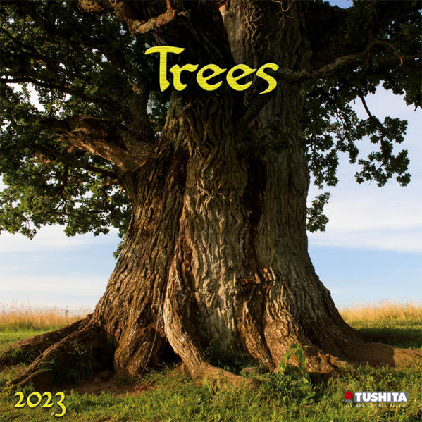 Produktbild: Trees 2023