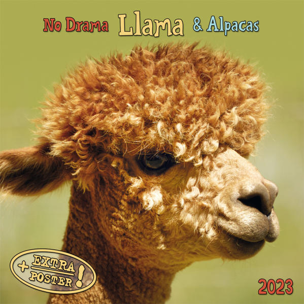 Produktbild: No Drama Llama 2023