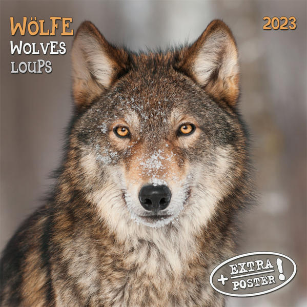 Produktbild: Wolves/Wölfe 2023