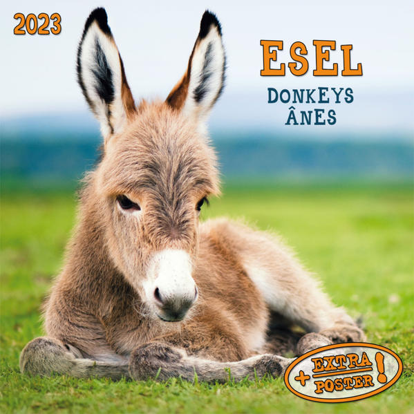 Produktbild: Esel 2023