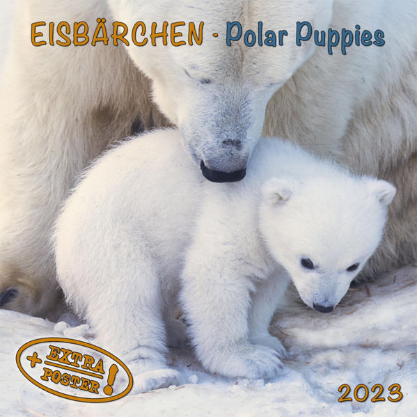 Produktbild: Polar Bears/Eisbärchen 2023