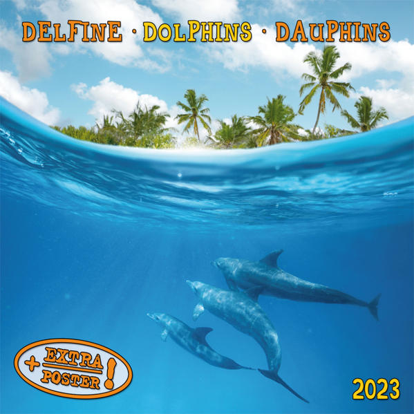 Produktbild: Dolphins/Delfine 2023