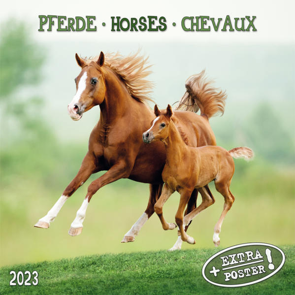 Produktbild: Horses/Pferde 2023