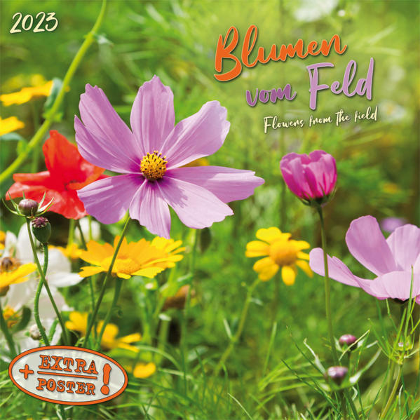 Produktbild: Blumen vom Feld 2023