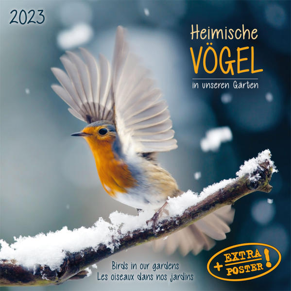 Produktbild: Heimische Vögel 2023
