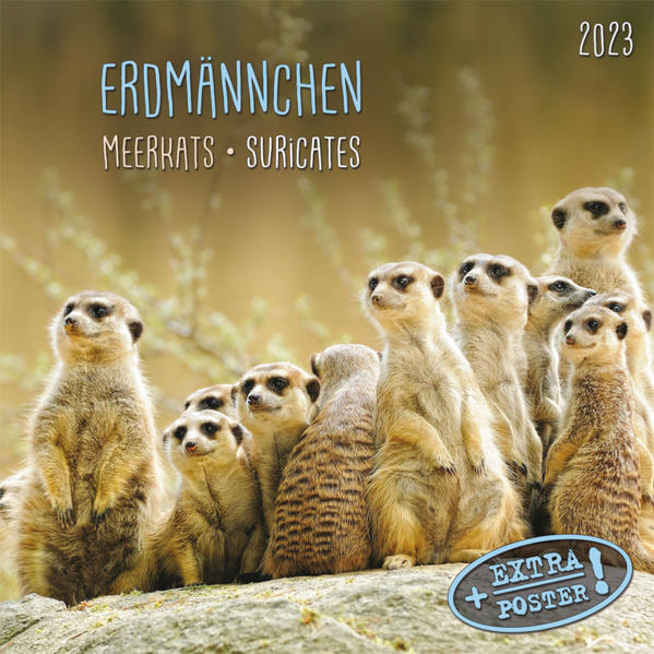 Produktbild: Meerkats/Erdmännchen 2023