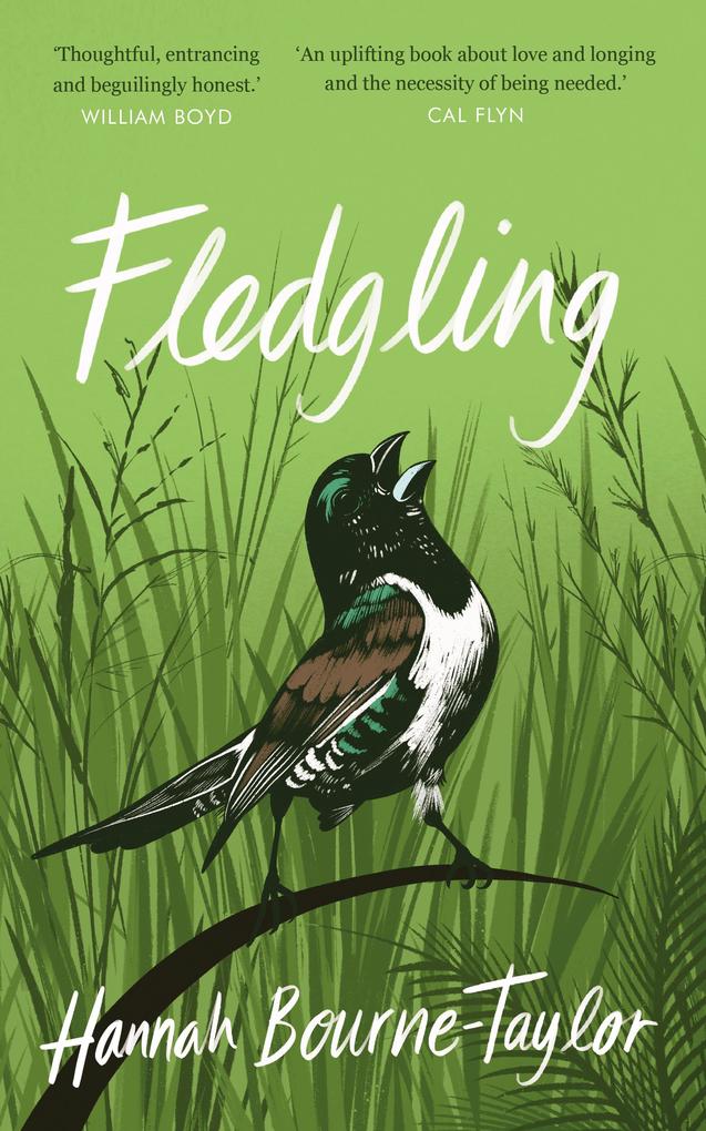Produktbild: Fledgling | Hannah Bourne-Taylor