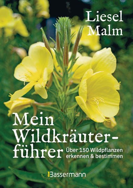 Produktbild: Mein Wildkräuterführer. Über 150 Wildpflanzen sammeln, erkennen & bestimmen. | Liesel Malm