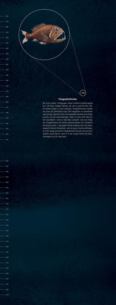 Weitere Ansicht: Hinab ins tiefe Blau | Gianumberto Accinelli