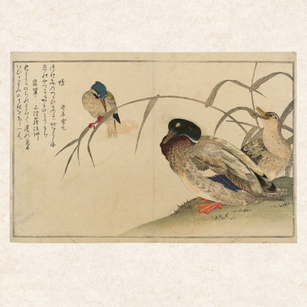 Weitere Ansicht: Hiroshige - Japanese Woodblock Printing 2023