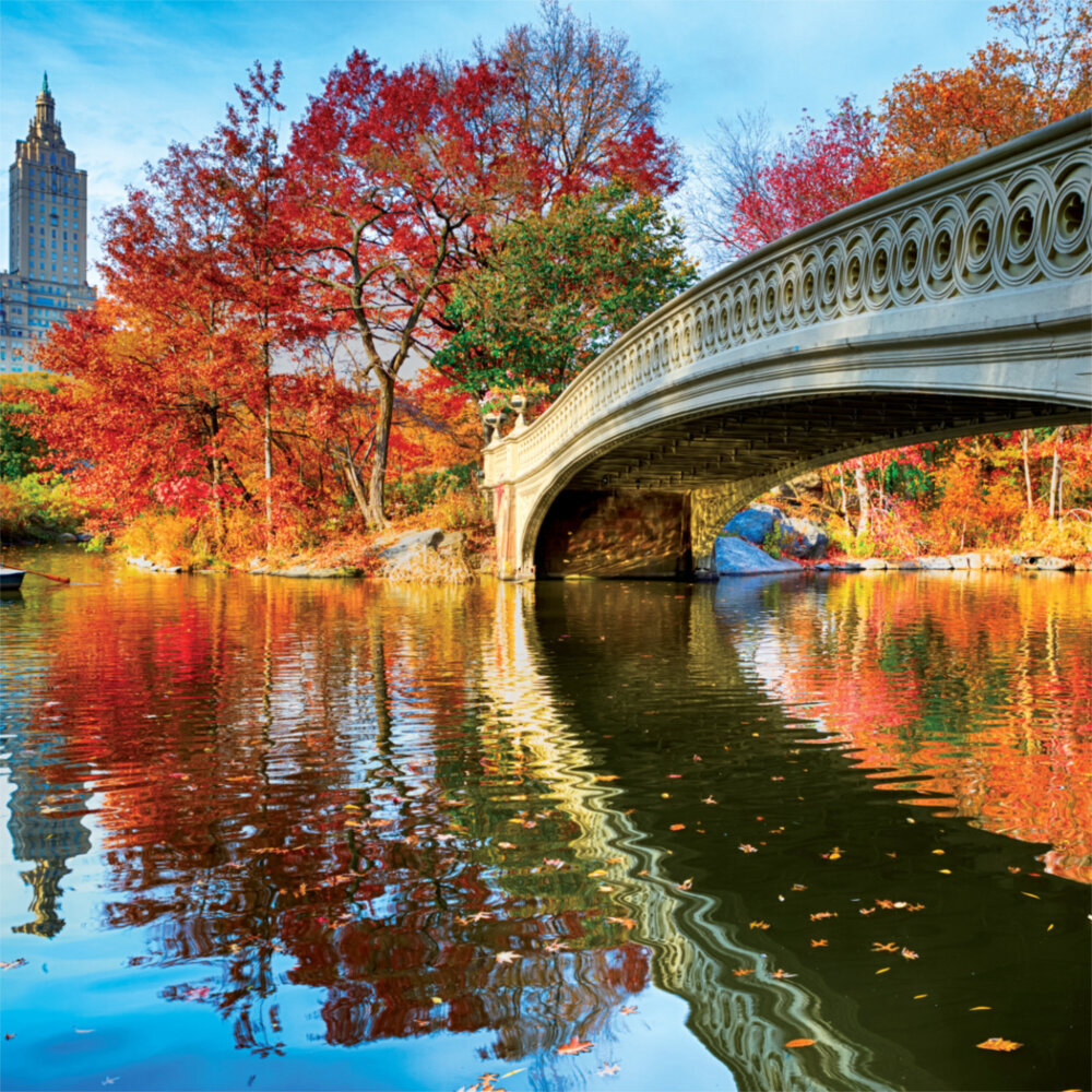Weitere Ansicht: New York Sunrise 2023