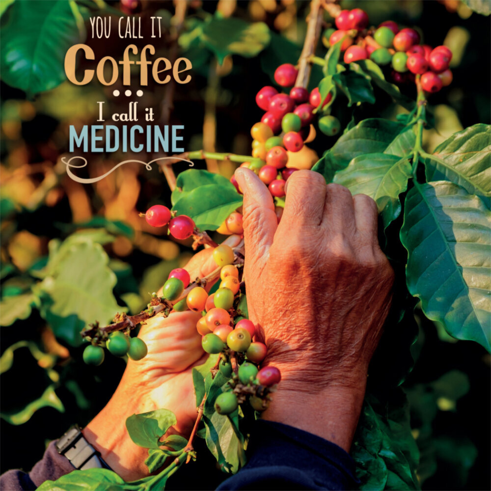 Weitere Ansicht: Coffee 2023