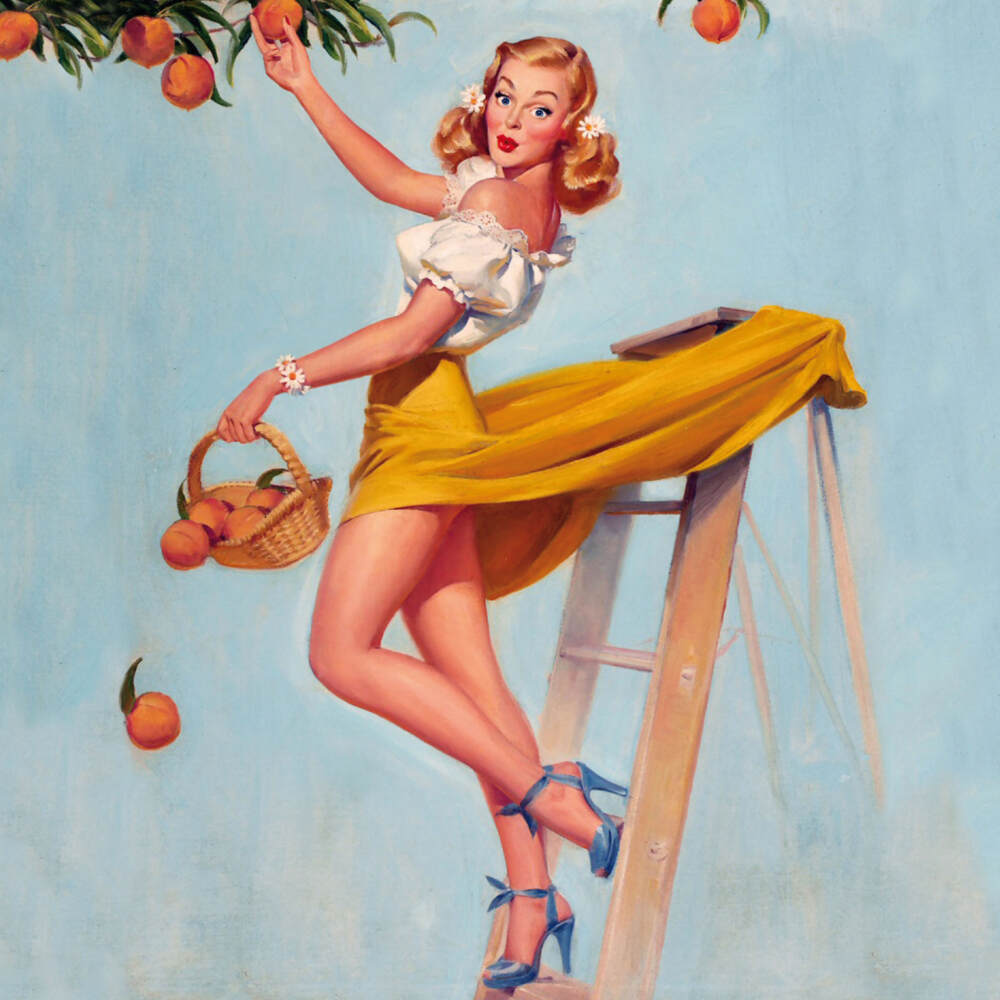Weitere Ansicht: Pin Up History 2023