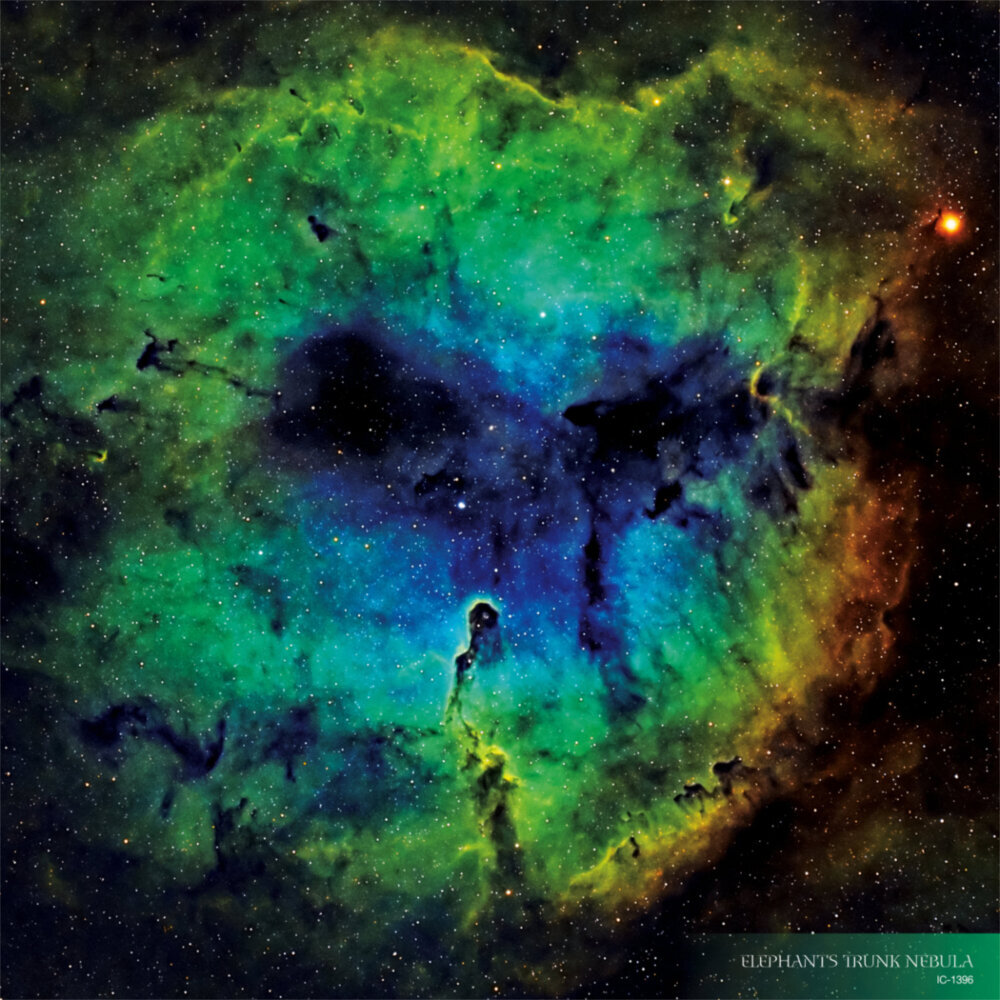 Weitere Ansicht: Where Stars are Born 2023