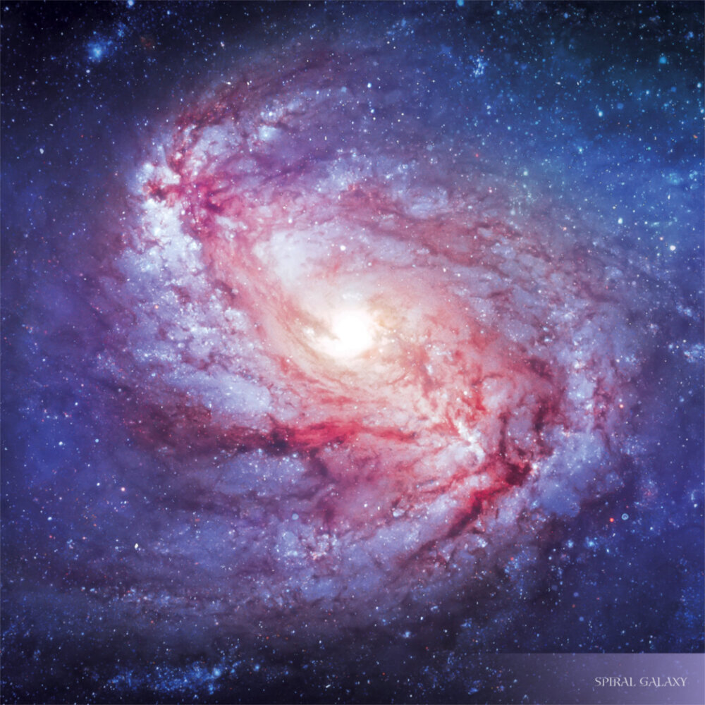 Weitere Ansicht: Where Stars are Born 2023
