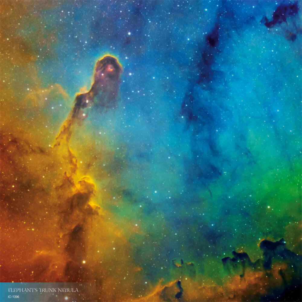 Weitere Ansicht: Where Stars are Born 2023