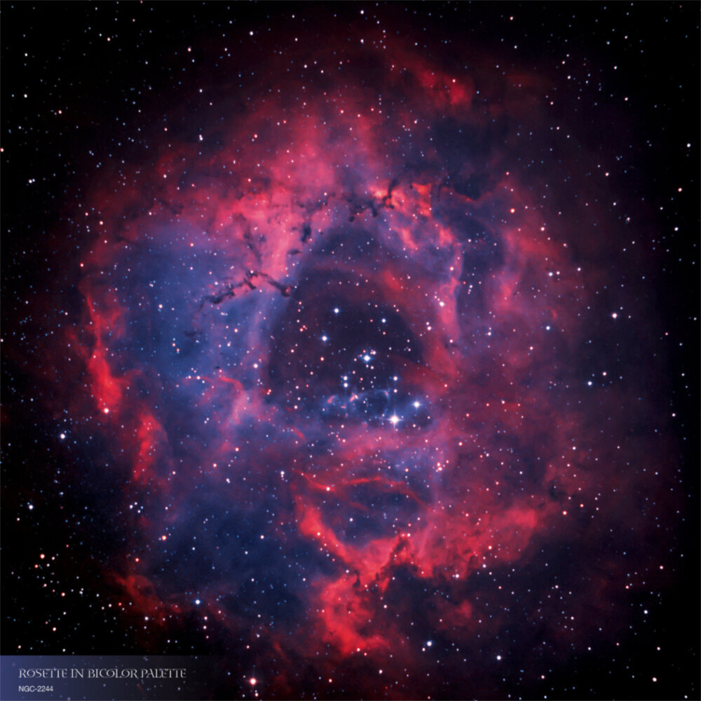 Weitere Ansicht: Where Stars are Born 2023