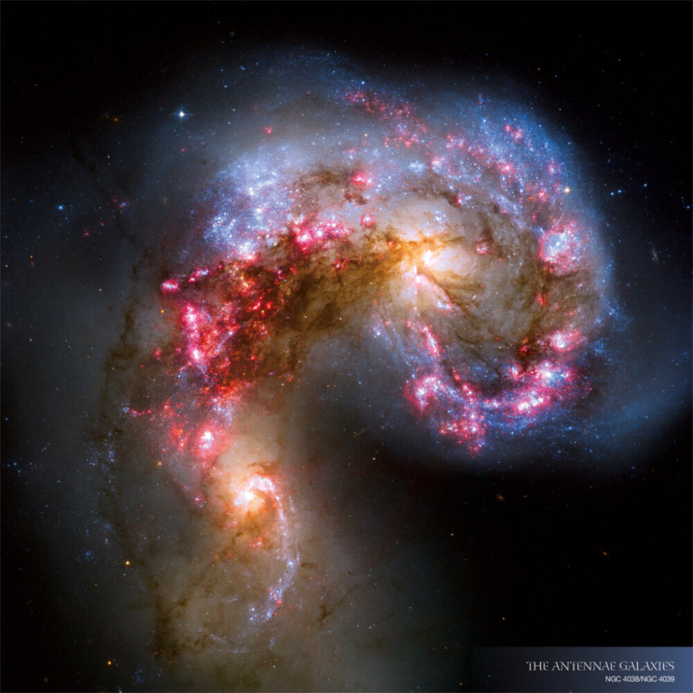Weitere Ansicht: Where Stars are Born 2023
