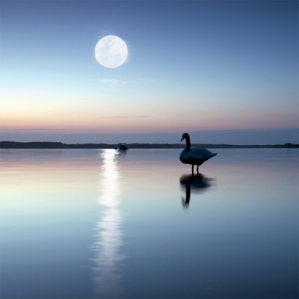 Weitere Ansicht: Moon, Good Moon 2023