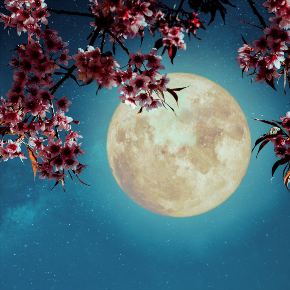 Weitere Ansicht: Moon, Good Moon 2023