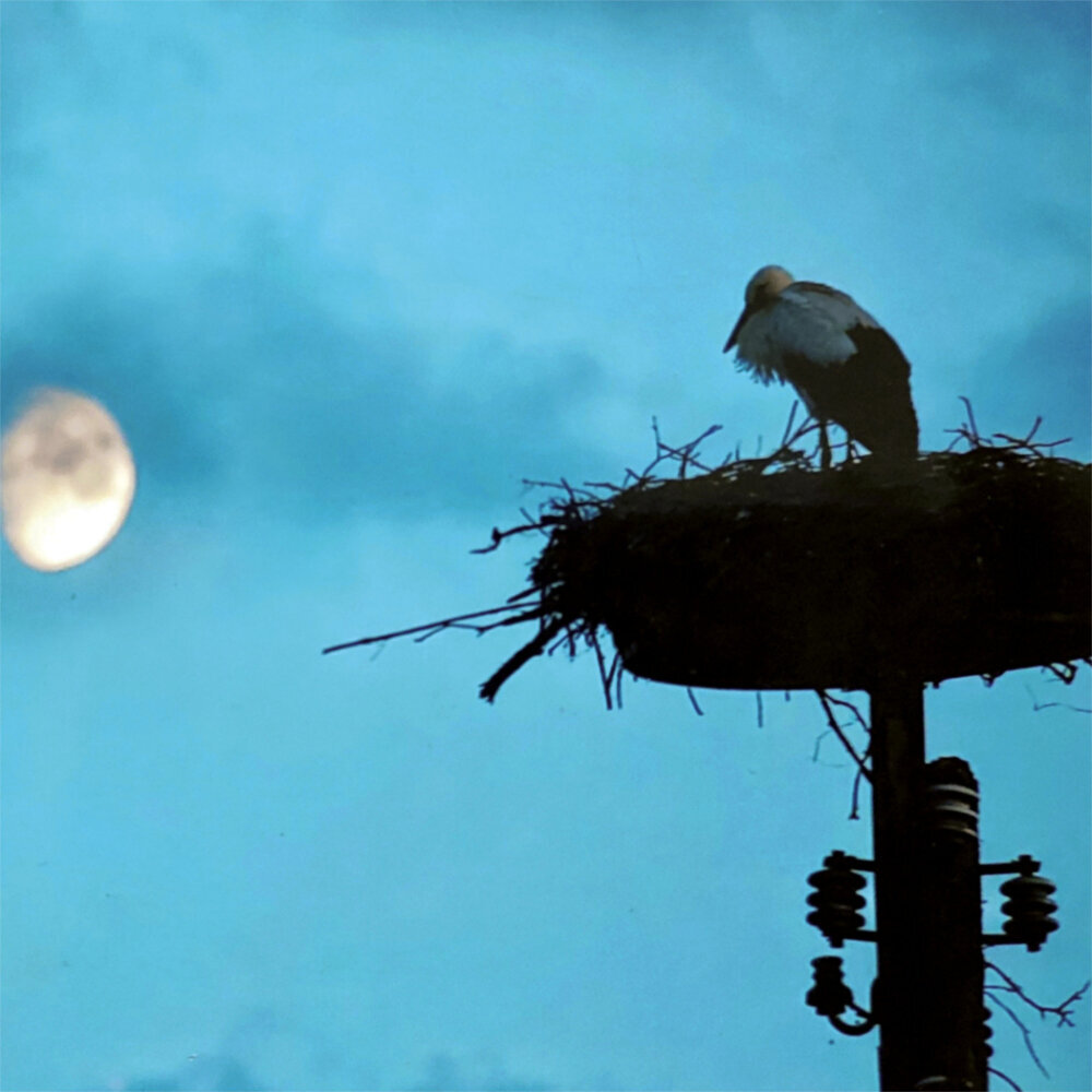 Weitere Ansicht: Moon, Good Moon 2023