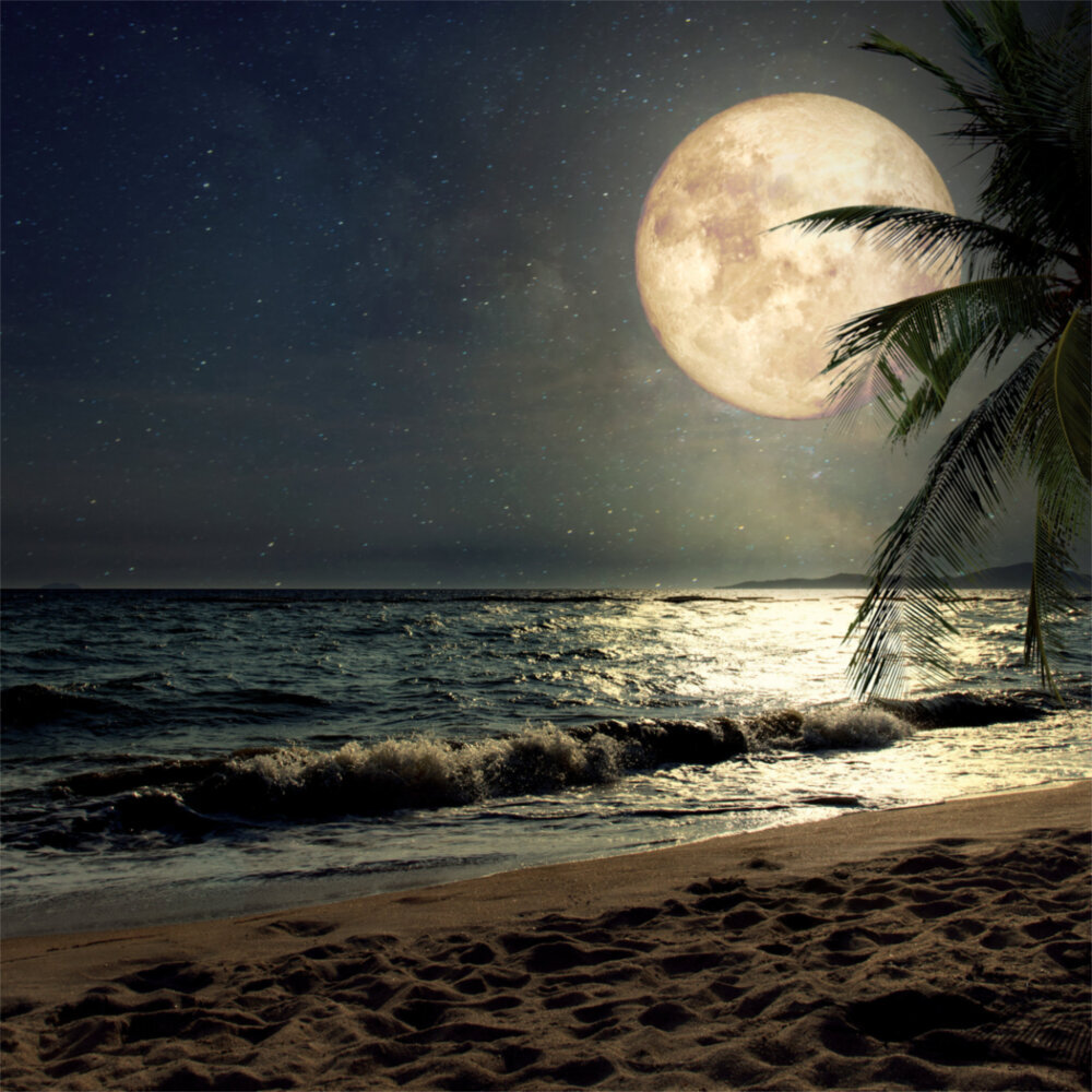 Weitere Ansicht: Moon, Good Moon 2023