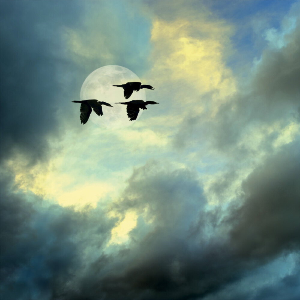 Weitere Ansicht: Moon, Good Moon 2023