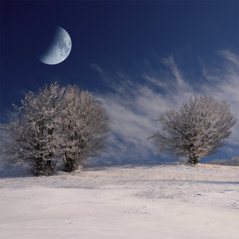 Weitere Ansicht: Moon, Good Moon 2023