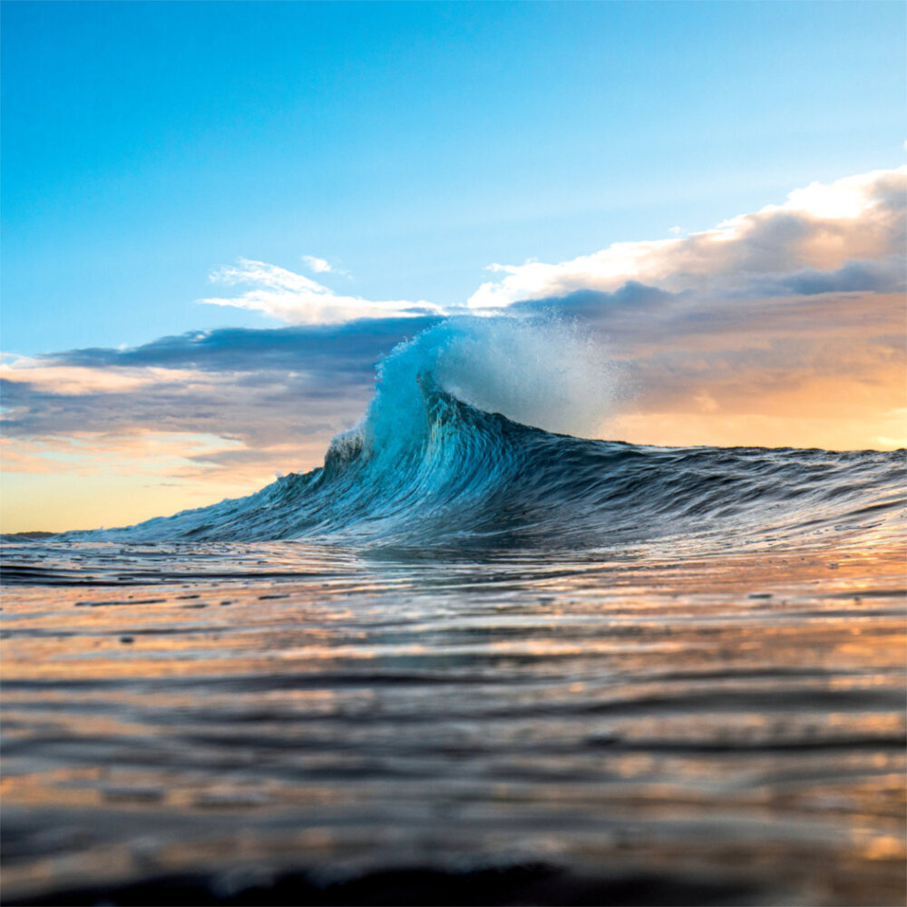 Weitere Ansicht: Pure Like Water 2023
