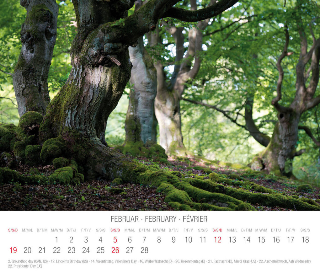 Weitere Ansicht: Trees 2023