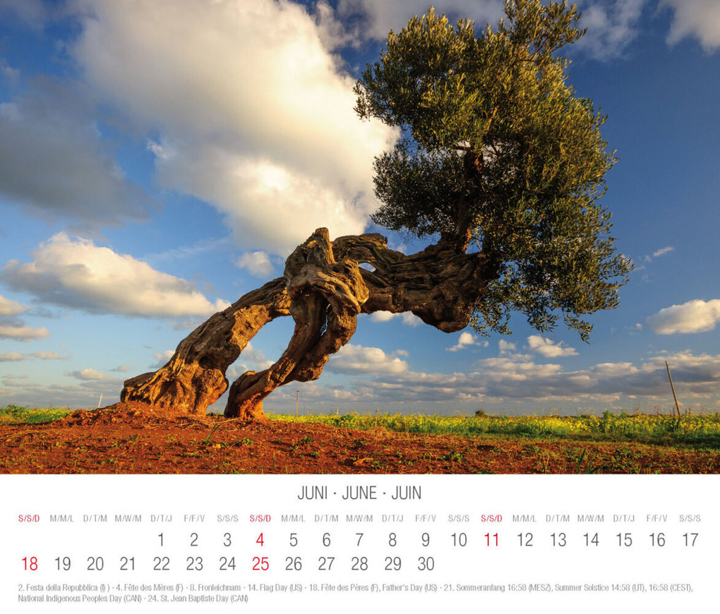 Weitere Ansicht: Trees 2023