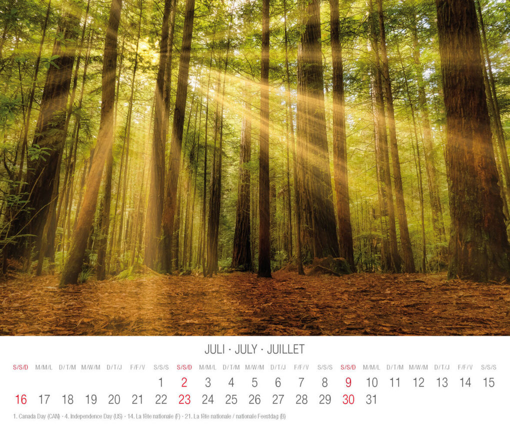 Weitere Ansicht: Trees 2023
