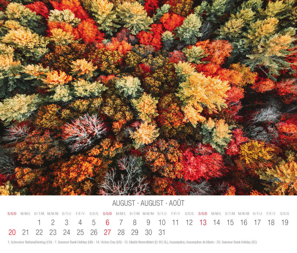 Weitere Ansicht: Trees 2023