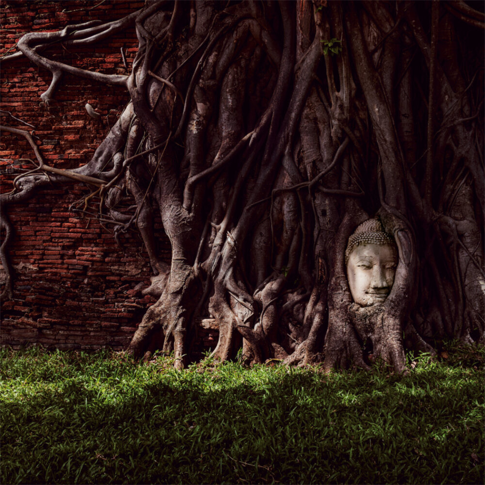 Weitere Ansicht: Buddhas Smile 2023