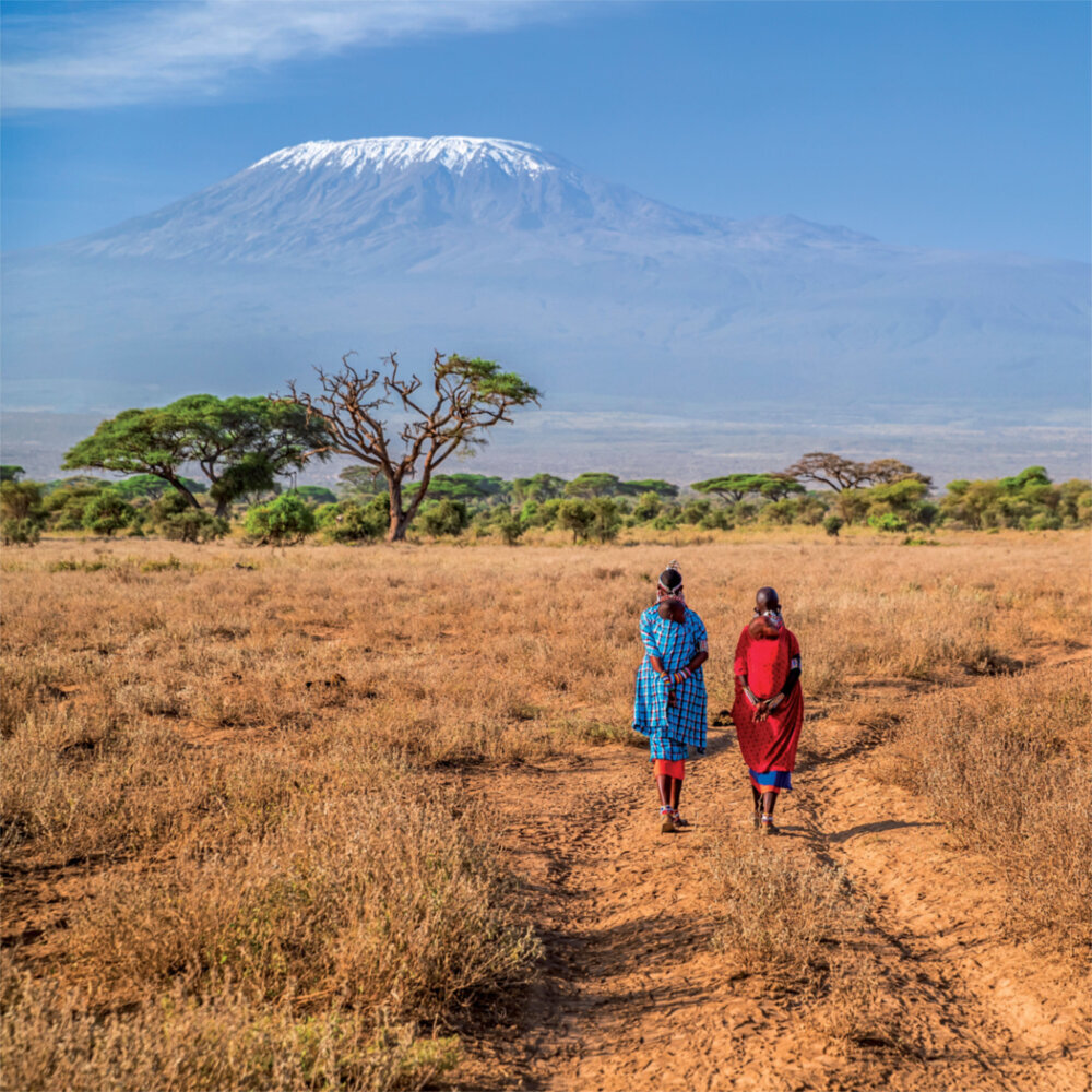 Weitere Ansicht: Africa 2023
