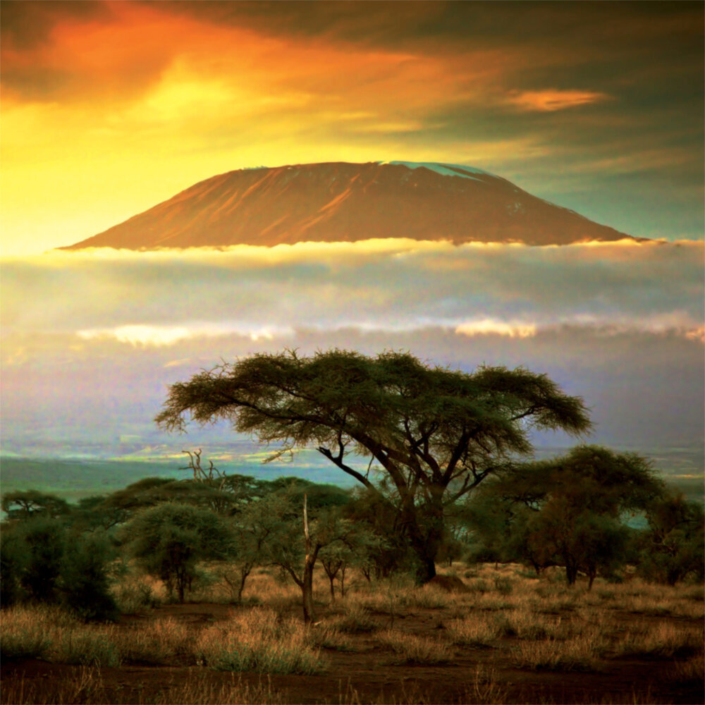 Weitere Ansicht: Africa 2023