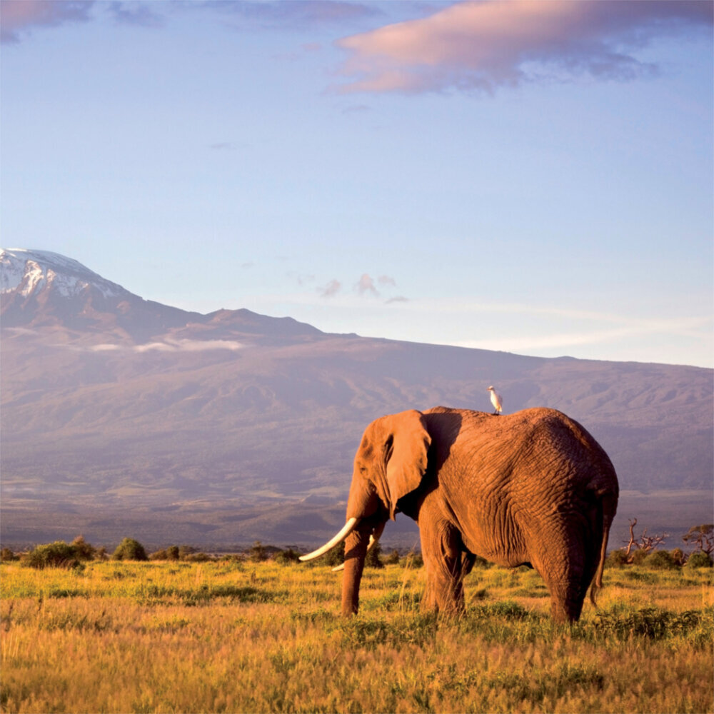 Weitere Ansicht: Africa 2023
