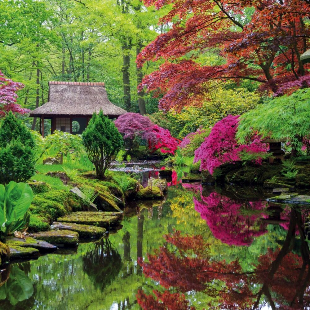 Weitere Ansicht: Japanese Garden 2023