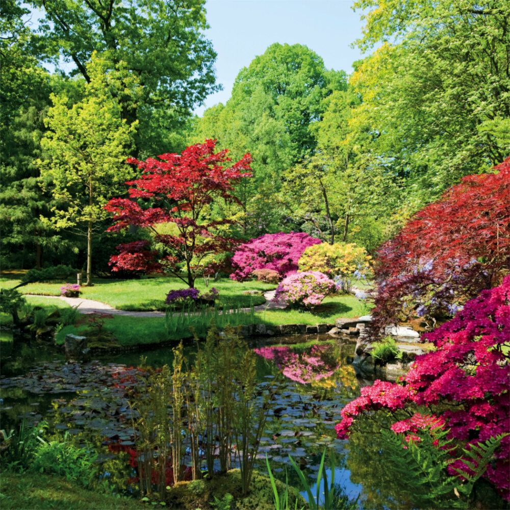 Weitere Ansicht: Japanese Garden 2023