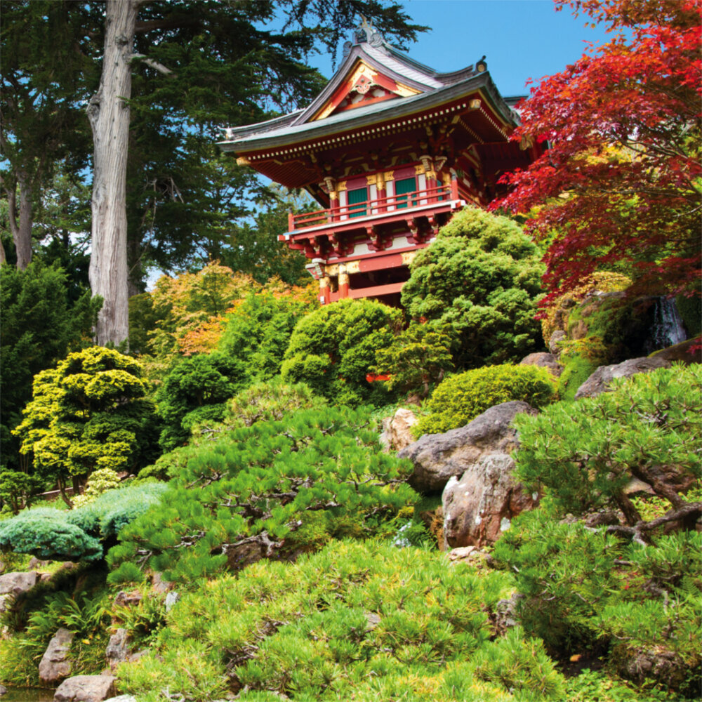 Weitere Ansicht: Japanese Garden 2023