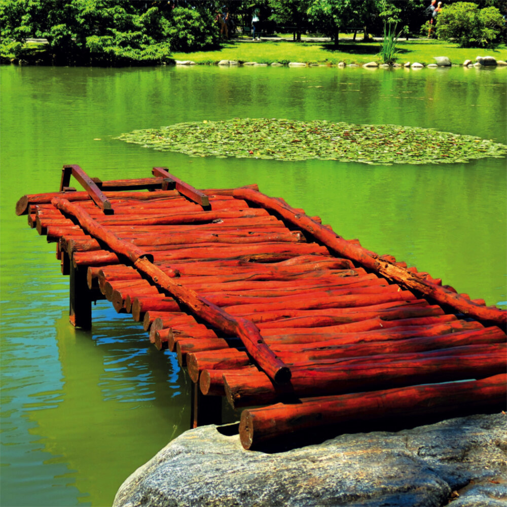 Weitere Ansicht: Japanese Garden 2023