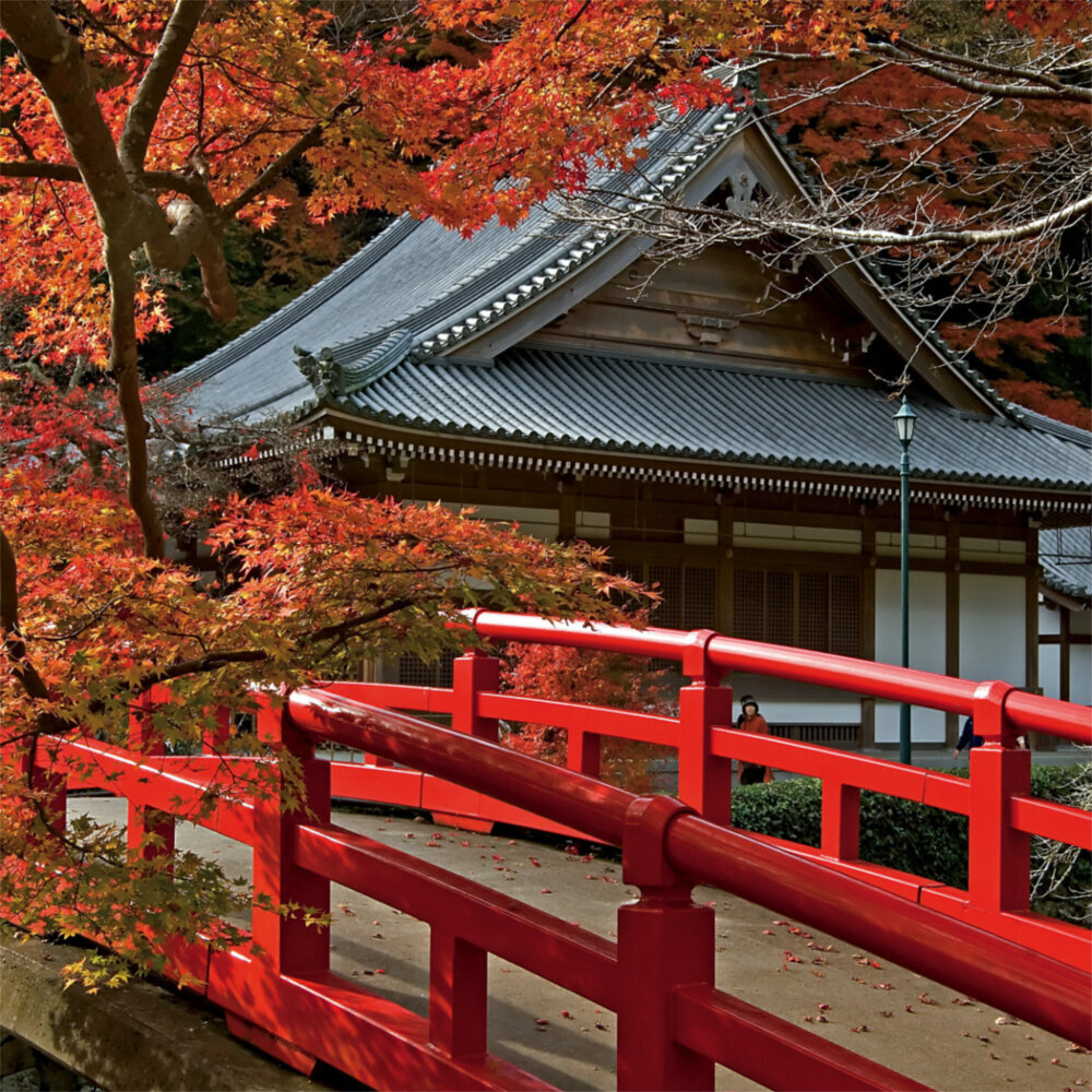 Weitere Ansicht: Japanese Garden 2023